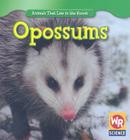 Opossums (Animals That Live in the Forest (Second Edition)) Cover Image