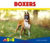 Boxers (Big Buddy Dogs) By Katie Lajiness Cover Image