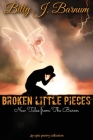 Broken Little Pieces New Tales from The Baron Cover Image