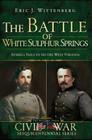 The Battle of White Sulphur Springs: Averell Fails to Secure West Virginia (Civil War) Cover Image