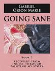 Going Sane: Recovery from Incest Through Painting My Story (Book Two) By Gabriel Orion Marie Cover Image