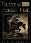 Blaze and the Forest Fire: Billy and Blaze Spread the Alarm By C.W. Anderson, C.W. Anderson (Illustrator) Cover Image