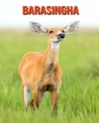 Barasingha: Libro para niños con imágenes hermosas y datos interesantes sobre los Barasingha Cover Image