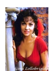 Gina Lollobrigida: The Untold Story By S. Loren Cover Image