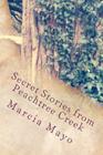 Secret Stories from Peachtree Creek: Georgia History (with a mysterious twist!) By Marcia Mayo Edd Cover Image