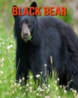 Black Bear: Incredible Pictures and Fun Facts about Black Bear By William Doyle Cover Image