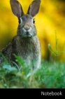 Notebook: Kaninchen, Hase, Tier, Tierwelt Notizbuch / persönliches Tagebuch / Schreibheft / Logbuch / Planer / Vokabelheft / Not By Notizbuch A5 Liniert Geschenkideen Cover Image
