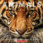 Animals: Witness Life in the Wild Featuring 100s of Species Cover Image