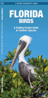 Florida Birds: A Folding Pocket Guide to Familiar Species (Pocket Naturalist Guide) Cover Image