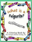 What Is a Fulgurite?: A Coloring Book by the Georgia Mineral Society, Inc. By Lori Carter Cover Image