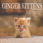 Ginger Kittens: 2021 Calendar By Patches And Me Cover Image