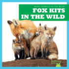 Fox Kits in the Wild By Katie Chanez Cover Image