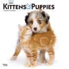 Kittens & Puppies 2020 Square Foil Cover Image
