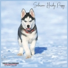 Siberian Husky Puppy Calendar 2022: Official Husky Dog Breed Calendar 2022, 16 Month Calendar 2022 By Husky Calendar 2022 Cover Image