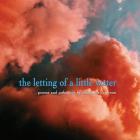 The Letting of a Little Water By Shakirah Peterson Cover Image