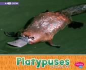 Platypuses: A 4D Book (Australian Animals) Cover Image