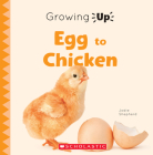 Egg to Chicken (Growing Up) (Paperback) (Explore the Life Cycle!) By Jodie Shepherd Cover Image