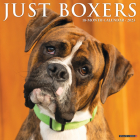 Just Boxers 2023 Wall Calendar By Willow Creek Press Cover Image