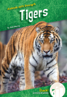 Tigers By Julie Murray Cover Image