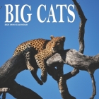 Big Cats: 2021 Mini Wall Calendar By Patches And Me Cover Image