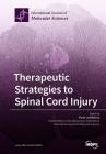 Therapeutic Strategies to Spinal Cord Injury By Pavla Jendelova (Guest Editor) Cover Image