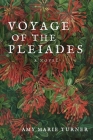 Voyage of the Pleiades Cover Image