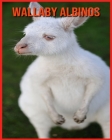 Wallaby Albinos: Livre pour Enfants Images & Informations Etonnantes Concernant les Wallaby Albinos By Sue Anthony Cover Image