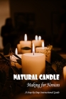 Natural Candle Making for Novices: A Step-by-Step Instructional Guide: Black and White By Daniel Winkle Cover Image