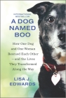 A Dog Named Boo: How One Dog and One Woman Rescued Each Other--And the Lives They Transformed Along the Way By Lisa J. Edwards Cover Image