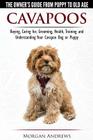 Cavapoos - The Owner's Guide From Puppy To Old Age - Buying, Caring for, Grooming, Health, Training and Understanding Your Cavapoo Dog or Puppy By Morgan Andrews Cover Image