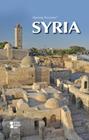 Syria (Opposing Viewpoints) By Noah Berlatsky (Editor) Cover Image
