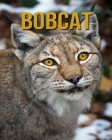 Bobcat: Amazing Facts & Pictures By Jessica Joe Cover Image