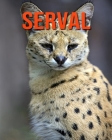 Serval: Amazing Serval Pictures Book for kids By Lara Mark Cover Image