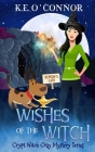 Wishes of the Witch Cover Image