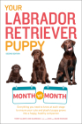 Your Labrador Retriever Puppy Month by Month, 2nd Edition: Everything You Need to Know at Each Stage of Development (Your Puppy Month by Month) By Terry Albert, Debra Eldredge, DVM Cover Image