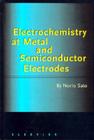 Electrochemistry at Metal and Semiconductor Electrodes Cover Image