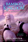 Bamboo Kingdom #3: Journey to the Dragon Mountain By Erin Hunter Cover Image