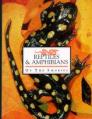 Reptiles and Amphibians of the Smokies By Stephen G. Tilley, James E. Huheey Cover Image