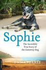 Sophie: The Incredible True Story of the Castaway Dog By Emma Pearse Cover Image