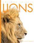 Lions (Amazing Animals) By Valerie Bodden Cover Image