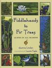 Fiddleheads to Fir Trees Cover Image
