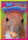 Baby Squirrels (Adorable Animals) Cover Image