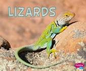 Lizards (Meet Desert Animals) By Rose Davin Cover Image