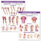 Trigger Point Chart Set: Torso & Extremities Paper Cover Image