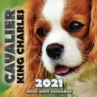 Cavalier King Charles 2021 Mini Wall Calendar Cover Image