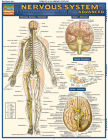 Nervous System Advanced By Vincent Perez Cover Image