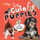 So Cute: Puppies By Crispin Boyer Cover Image