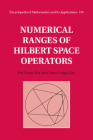 Numerical Ranges of Hilbert Space Operators (Encyclopedia of Mathematics and Its Applications #179) Cover Image