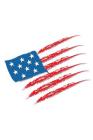 Diabetic Log Book: Portable Blood Glucose Chart, Daily Diary - Small Notebook - American Flag By Simple Planners and Journals Cover Image