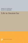 Life in Ancient Ice (Princeton Legacy Library #5653) By John D. Castello (Editor), Scott O. Rogers (Editor) Cover Image
